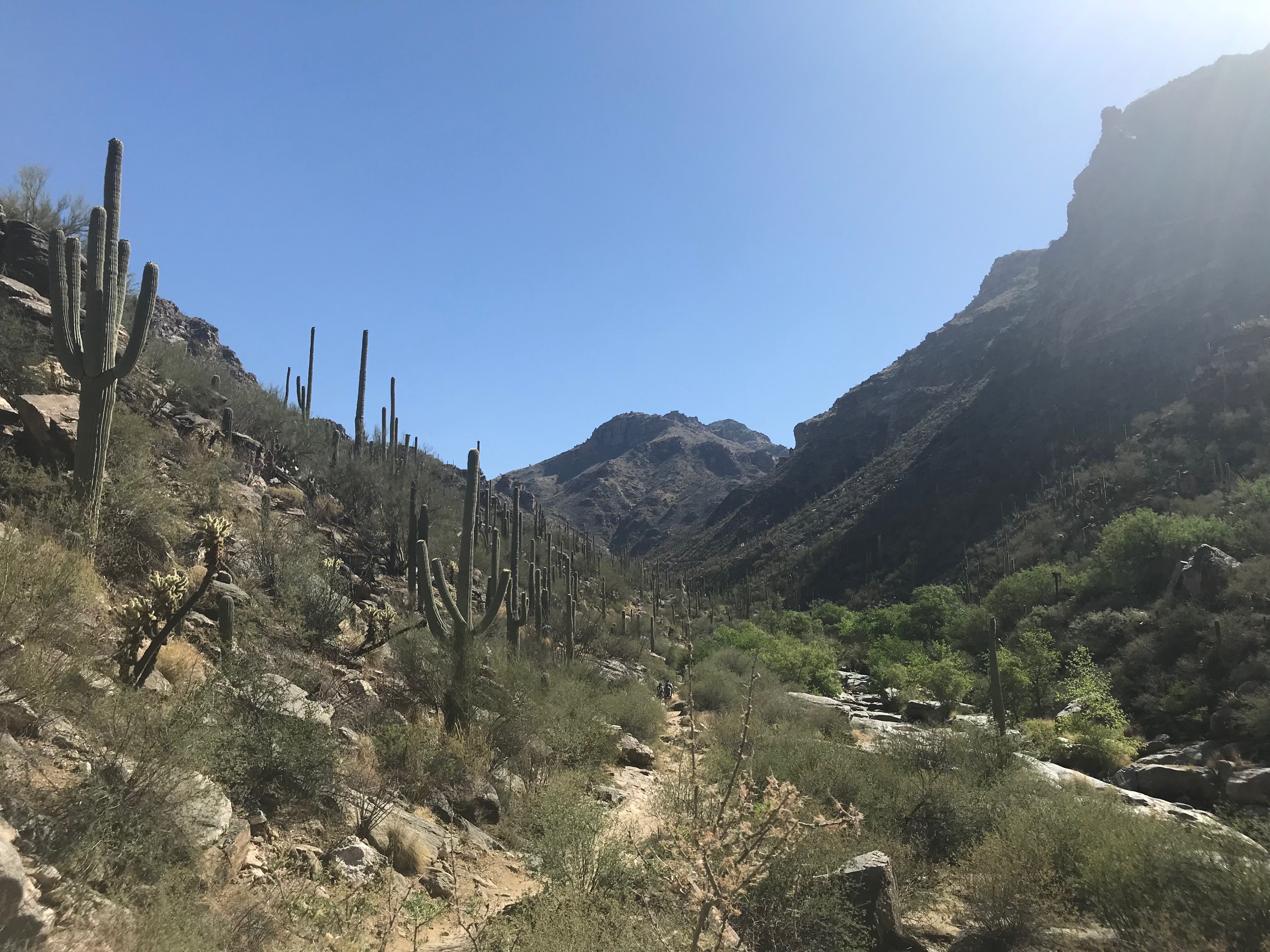 Hiking in Arizona | Bear Canyon to Seven Falls